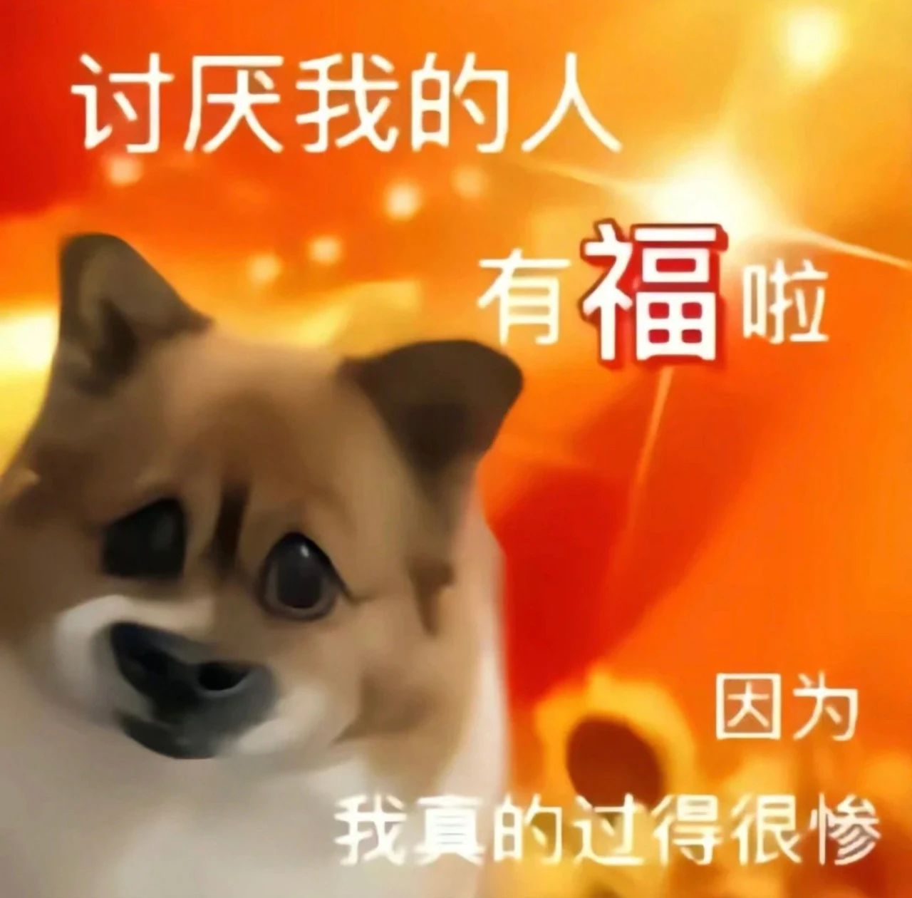 #表情包[超话]#搞笑表情包 ​​​