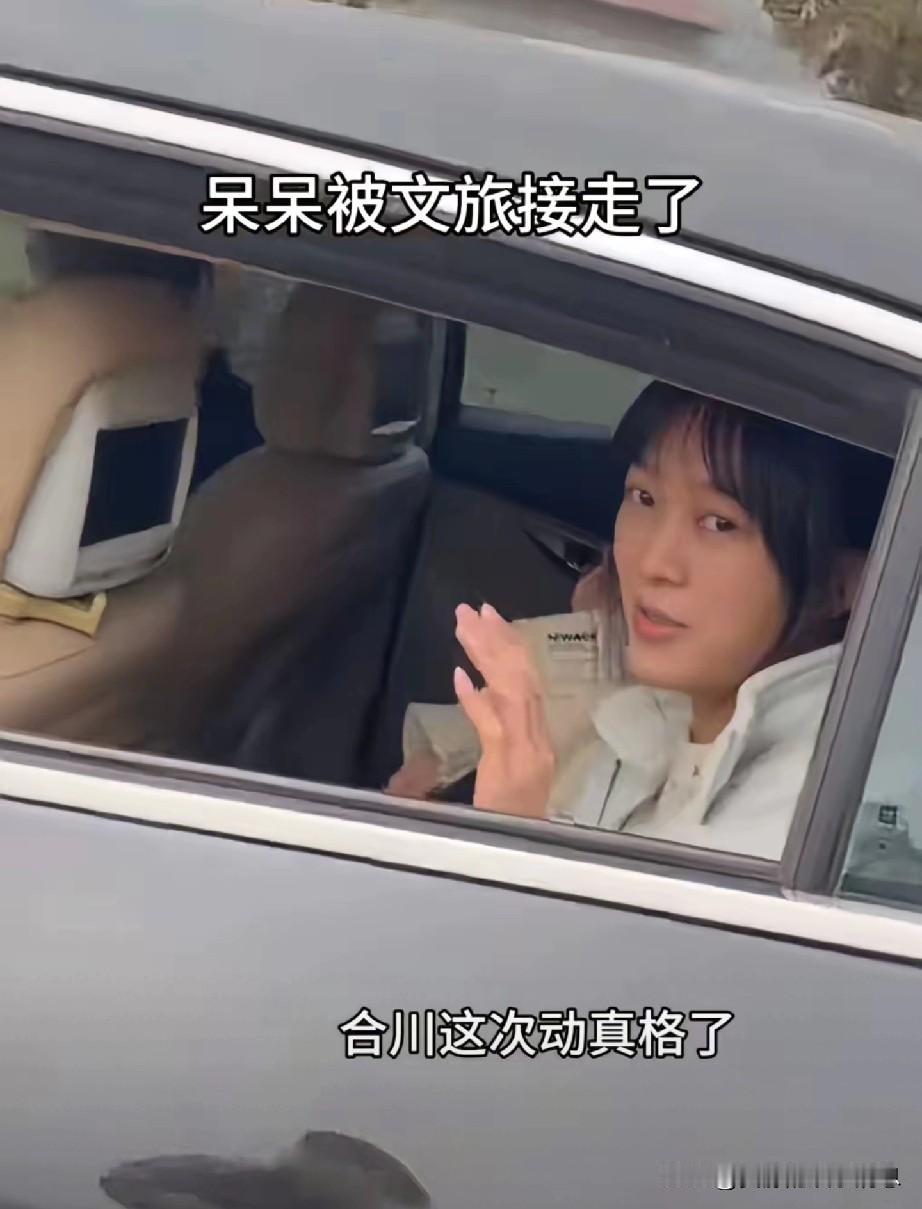 合川当局为什么要把呆呆接走？

    很显然，不是因为不喜欢他，而是因为不想失