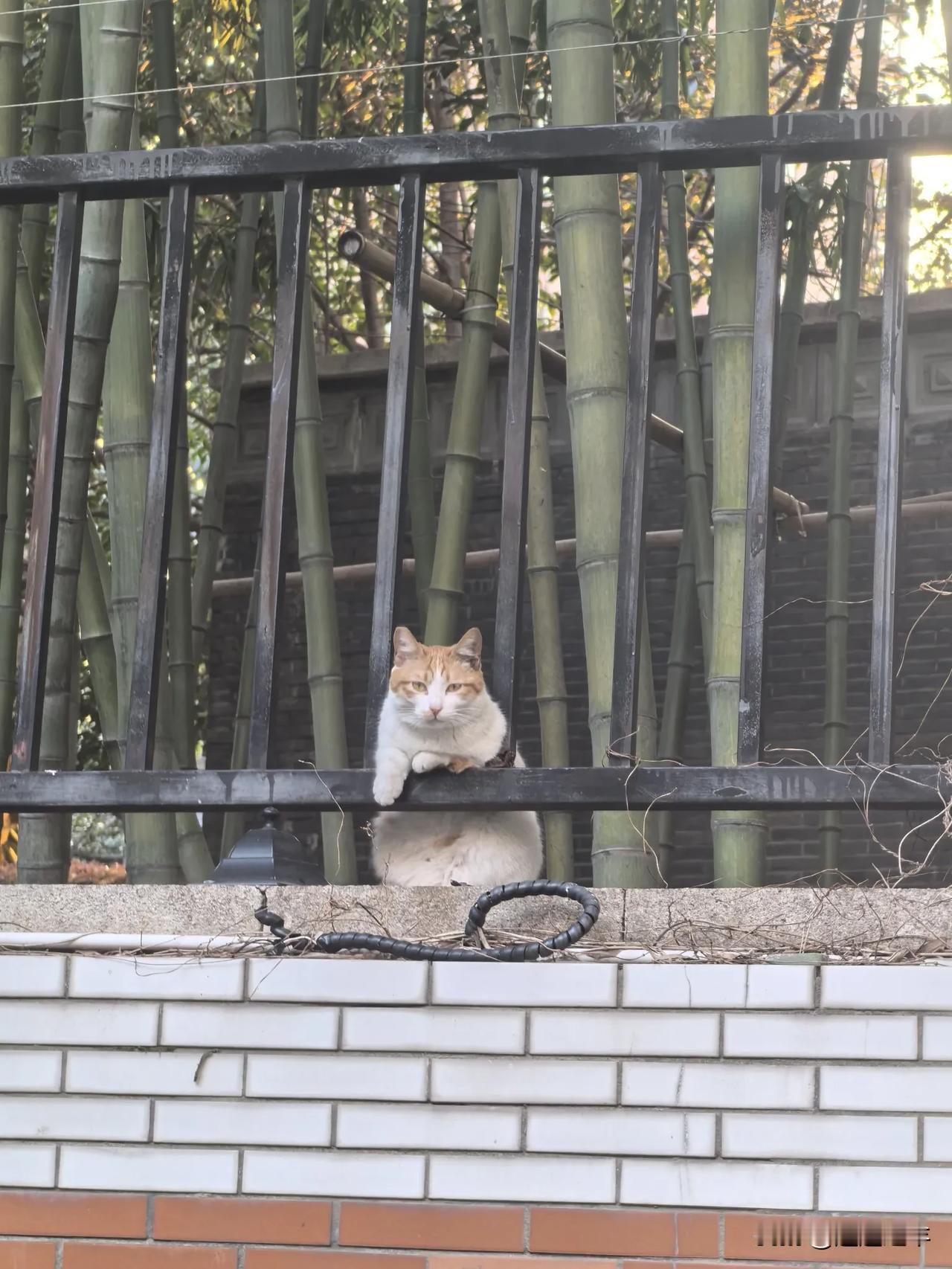 俄罗斯凭实力践行丛林法则，并没有羞辱乌克兰和戏子。
恰恰羞辱乌克兰和戏子的是他心