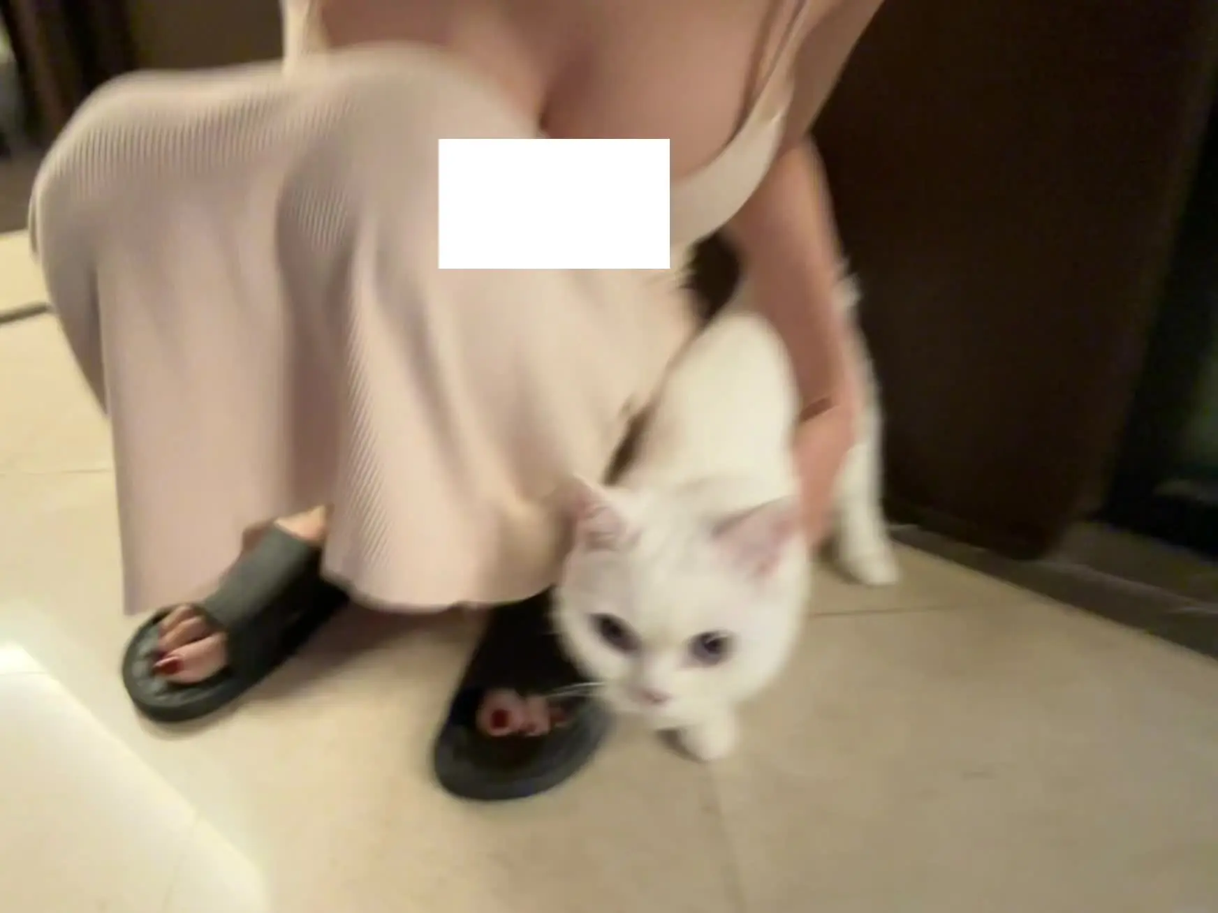 想你的话你会出现吗