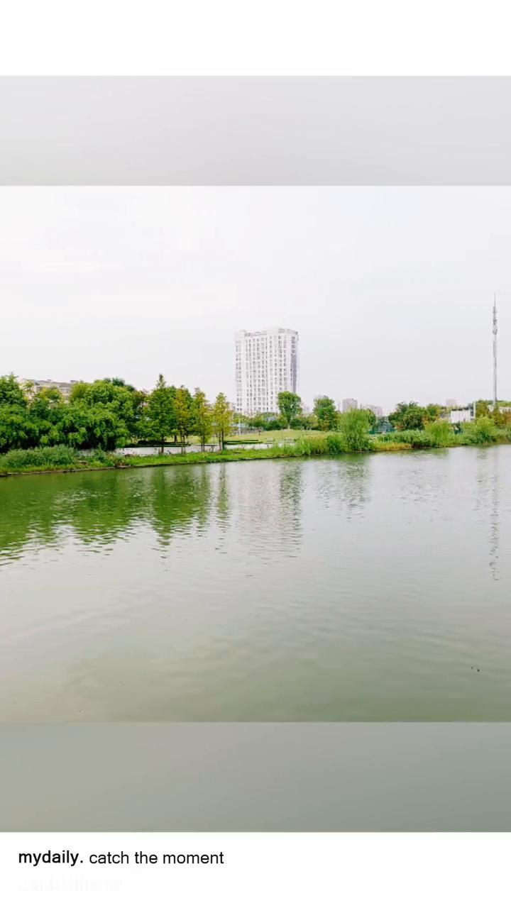 路上认识世界，途中遇见自己。
生活记绿寸。