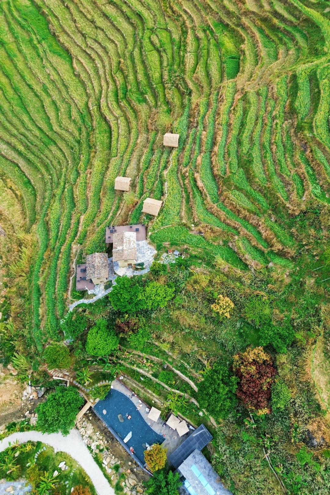 谁懂啊！挖到一家藏在云南深山梯田里的温泉