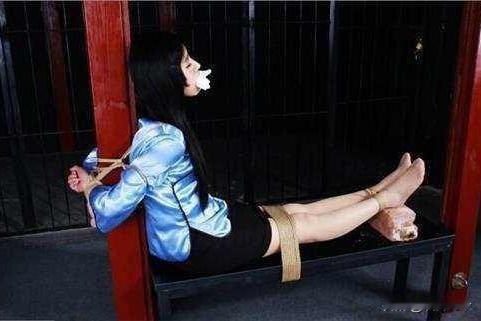 军统女特工的铁血骨气
 
军统女特工王宝云被绑在老虎凳上，已经加到第三块砖，她疼