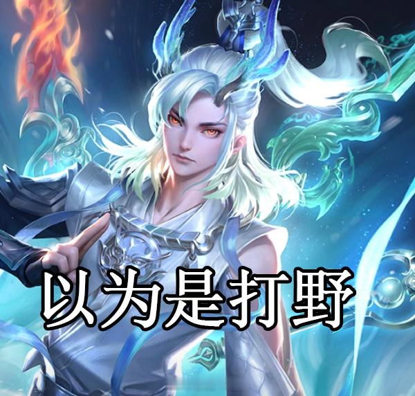 最近的新英雄都挺颠的。#王者新英雄大司命# #王者荣耀# ​​​