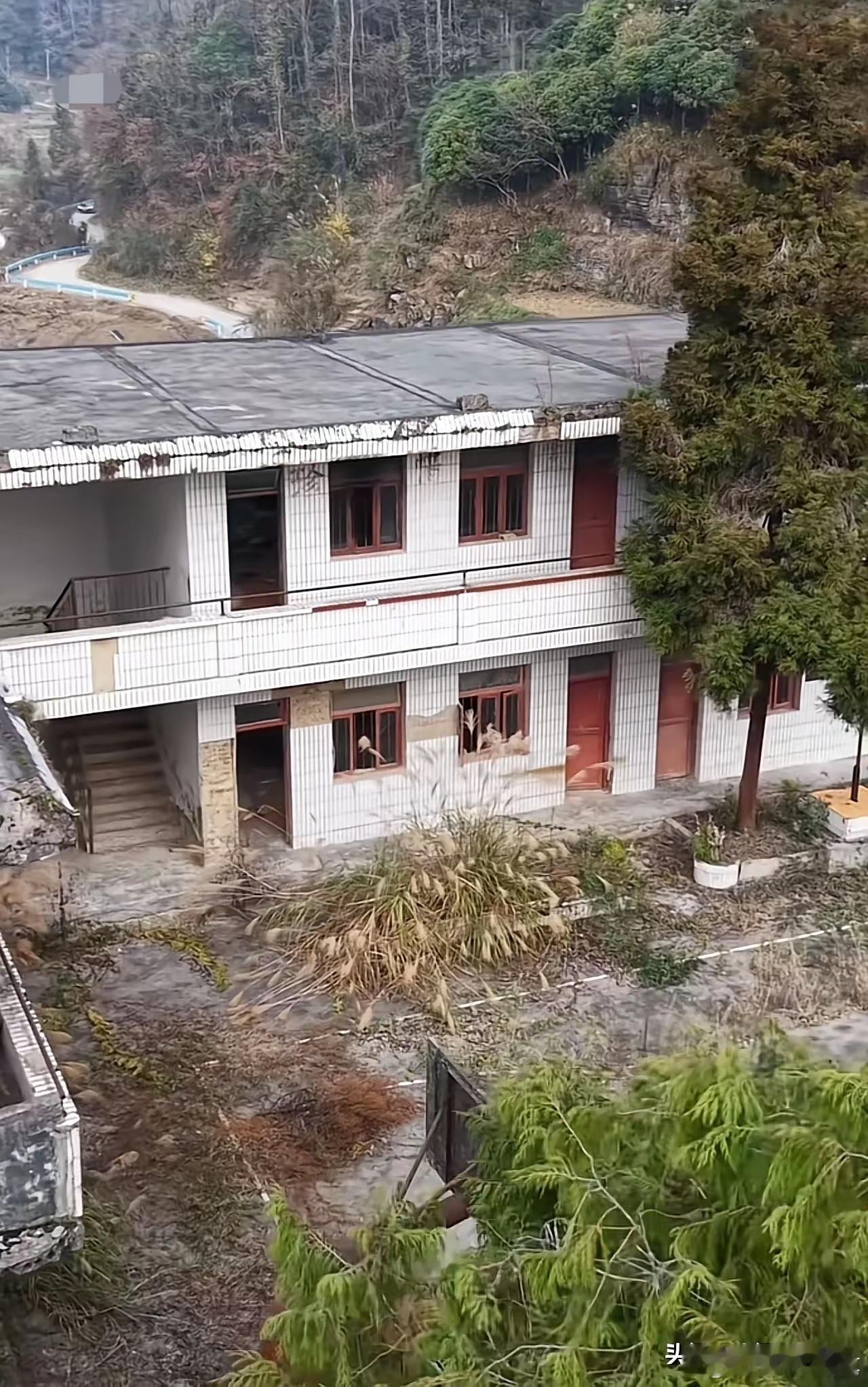 十年树木，百年树人，青松还在人已空。再过一代人，那群根在农村的老一辈走后，大概7