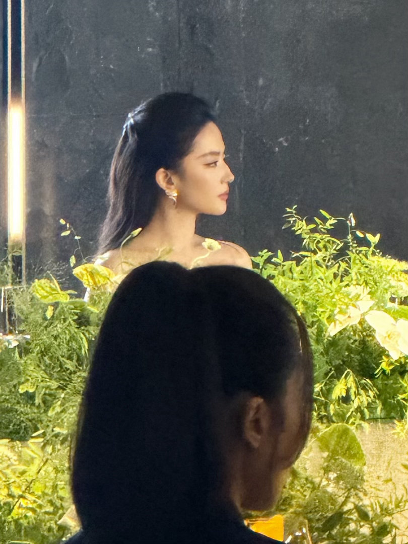 刘亦菲冰晶玫瑰 妈呀 这个顶级侧颜 怎么可以这么美 女娲炫技之作