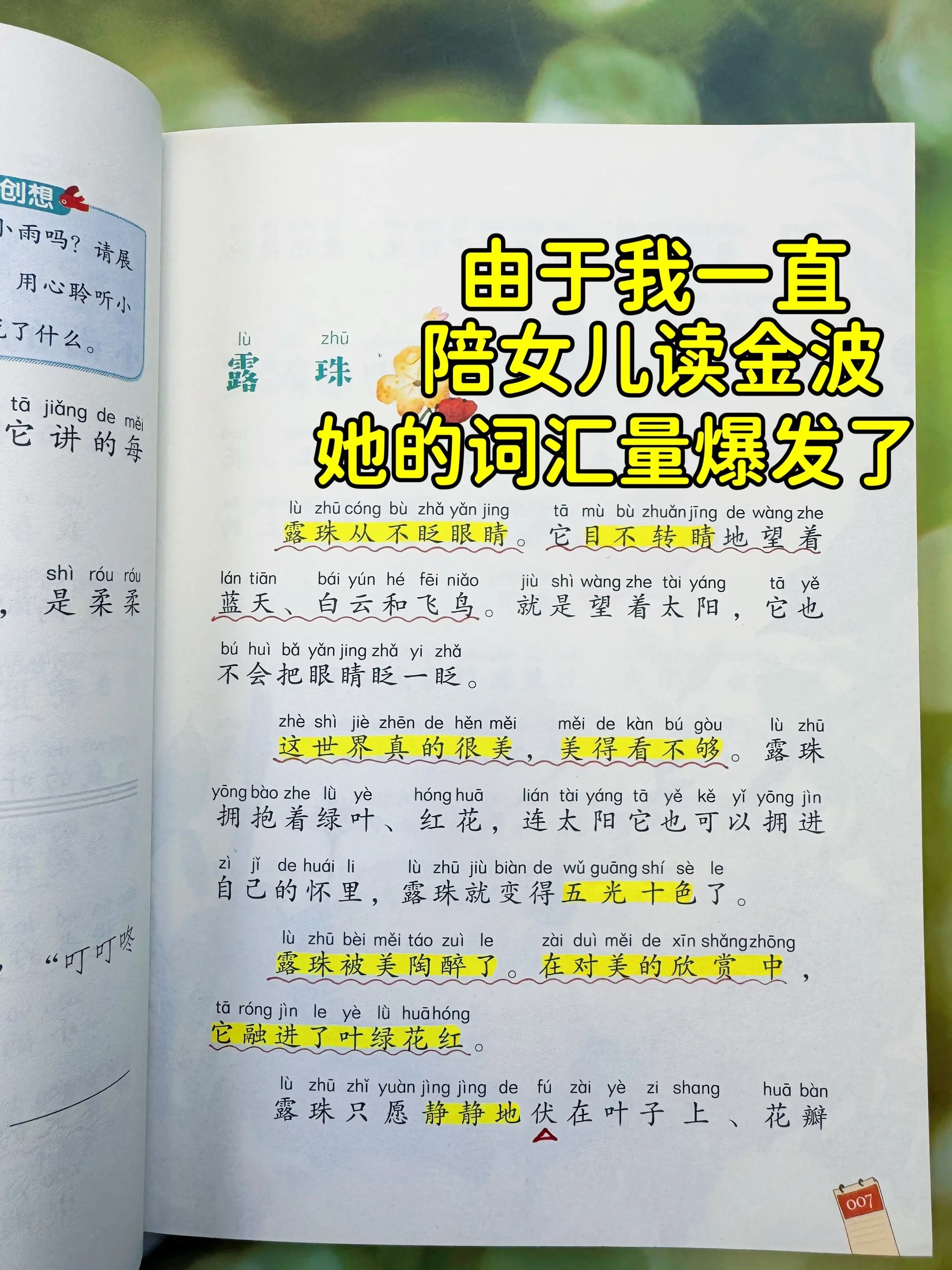 低年级要培养孩子的阅读兴趣和自主阅读能力。➡️这套《金波四季美文》真的...