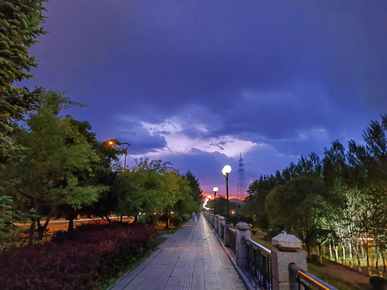 夏夜星辉 (组诗)

一
热浪在窗棂外悄然退潮
蝉鸣被夜色酿成静谧的酒
抬头，银