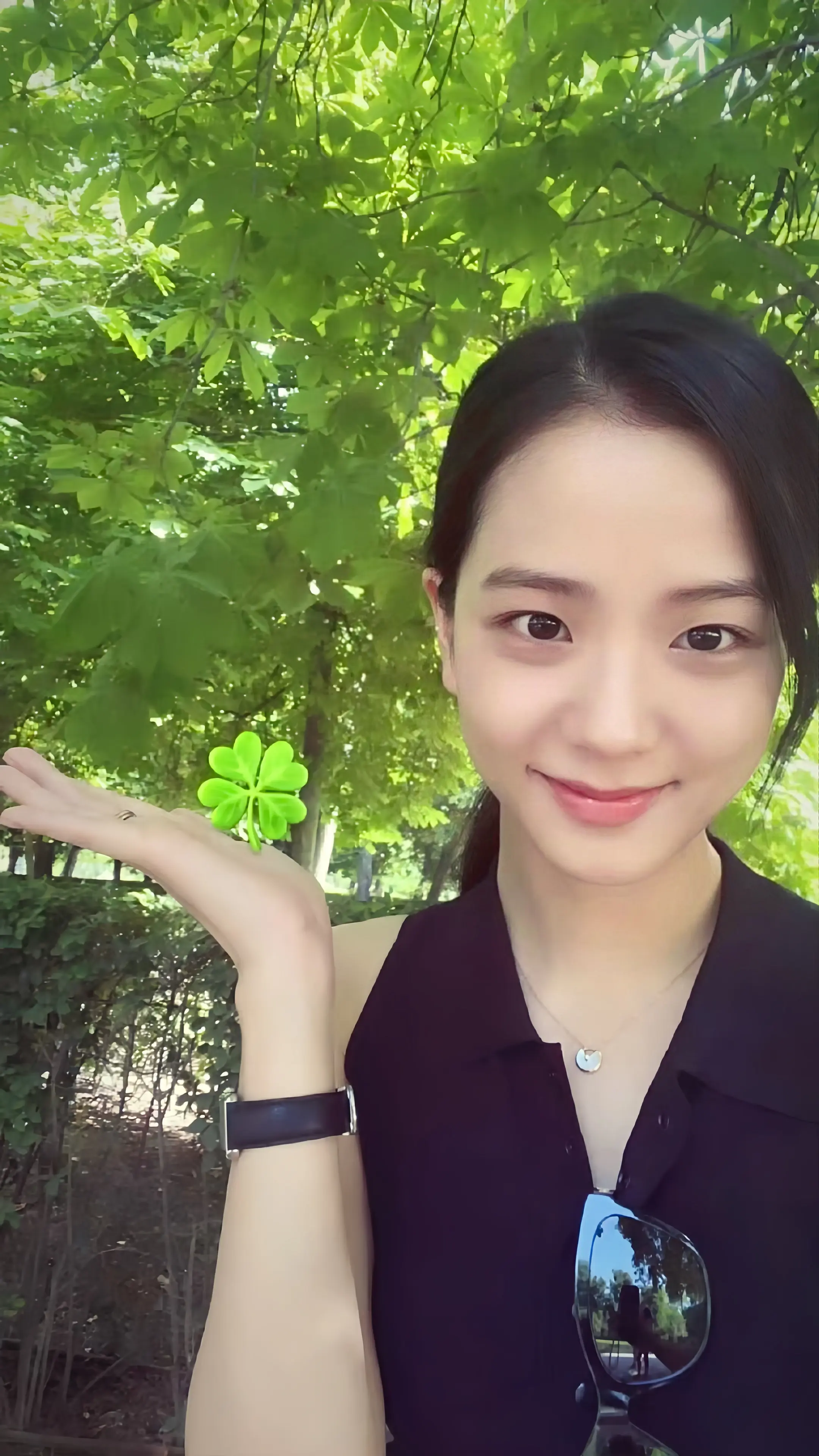 🍀🌿🌳💚。金智秀