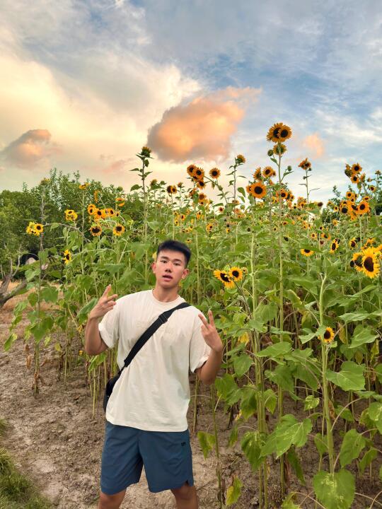 1️⃣男大和向日葵拍个照🌻！！！