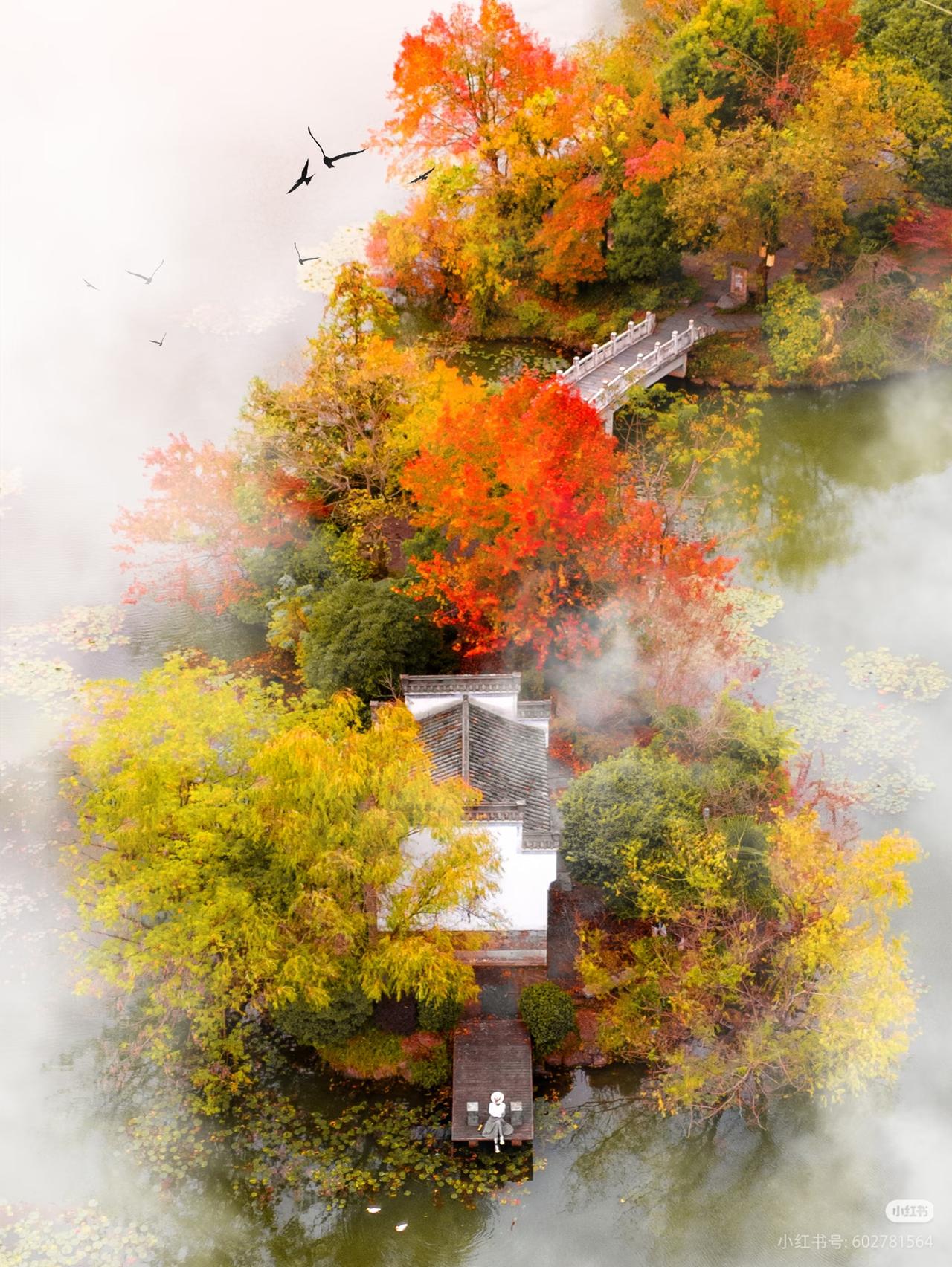 山河染秋色，人间忽已晚，半是斑斓，半是清欢。桂风漫卷，叶落成诗，一秋一安，一念一