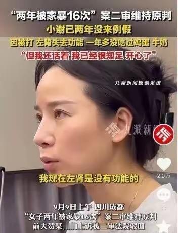 万万没想到，
三天之内，小谢和追风小叶都败了。
法院的判决如同倾盆大雨
浇灭了这