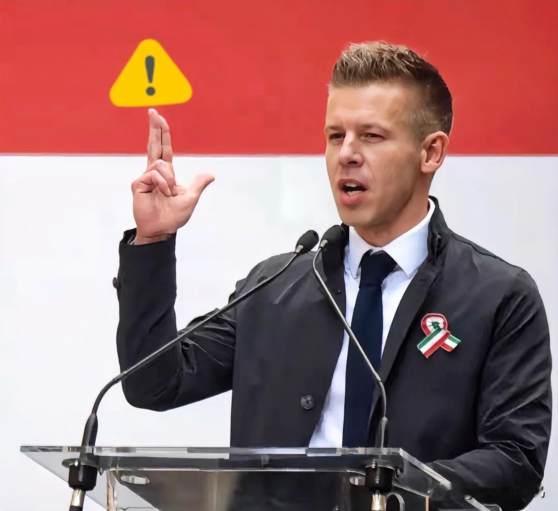 刚看到有人在讨论欧尔班的局势，
说得挺热闹，我倒觉得这事儿没那么简单。

不少人