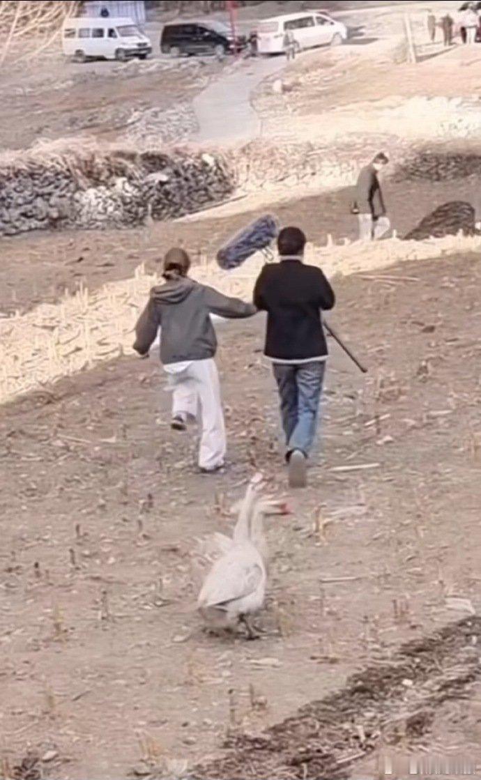 赵露思抓大鹅  赵露思被大鹅吓跑 她逃跑的样子也太萌啦！真的是个可爱的小女孩 