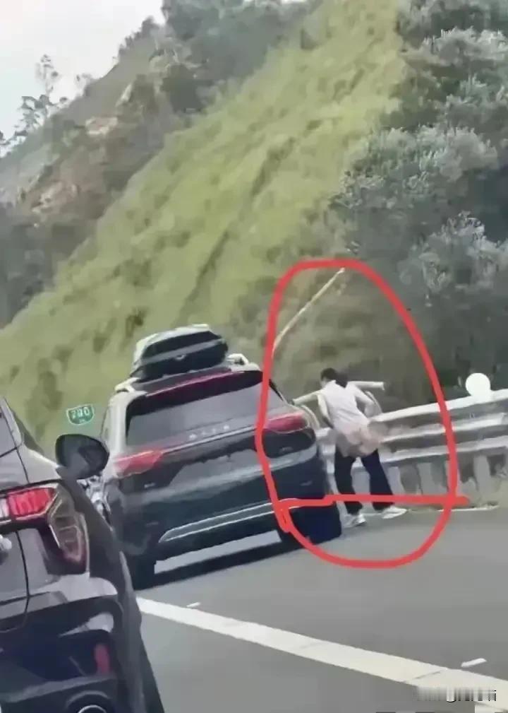 女子不顾形象下车解决
国庆假期如火如荼，许多人选择自驾游，然而高速公路上的拥堵也