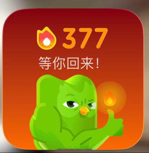 多邻国  377天
