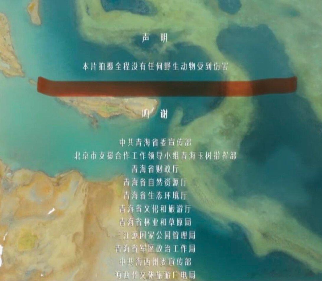 生命树里面动物尸体太逼真了片尾声明：本片拍摄全程没有任何野生动物收到伤害流浪地球