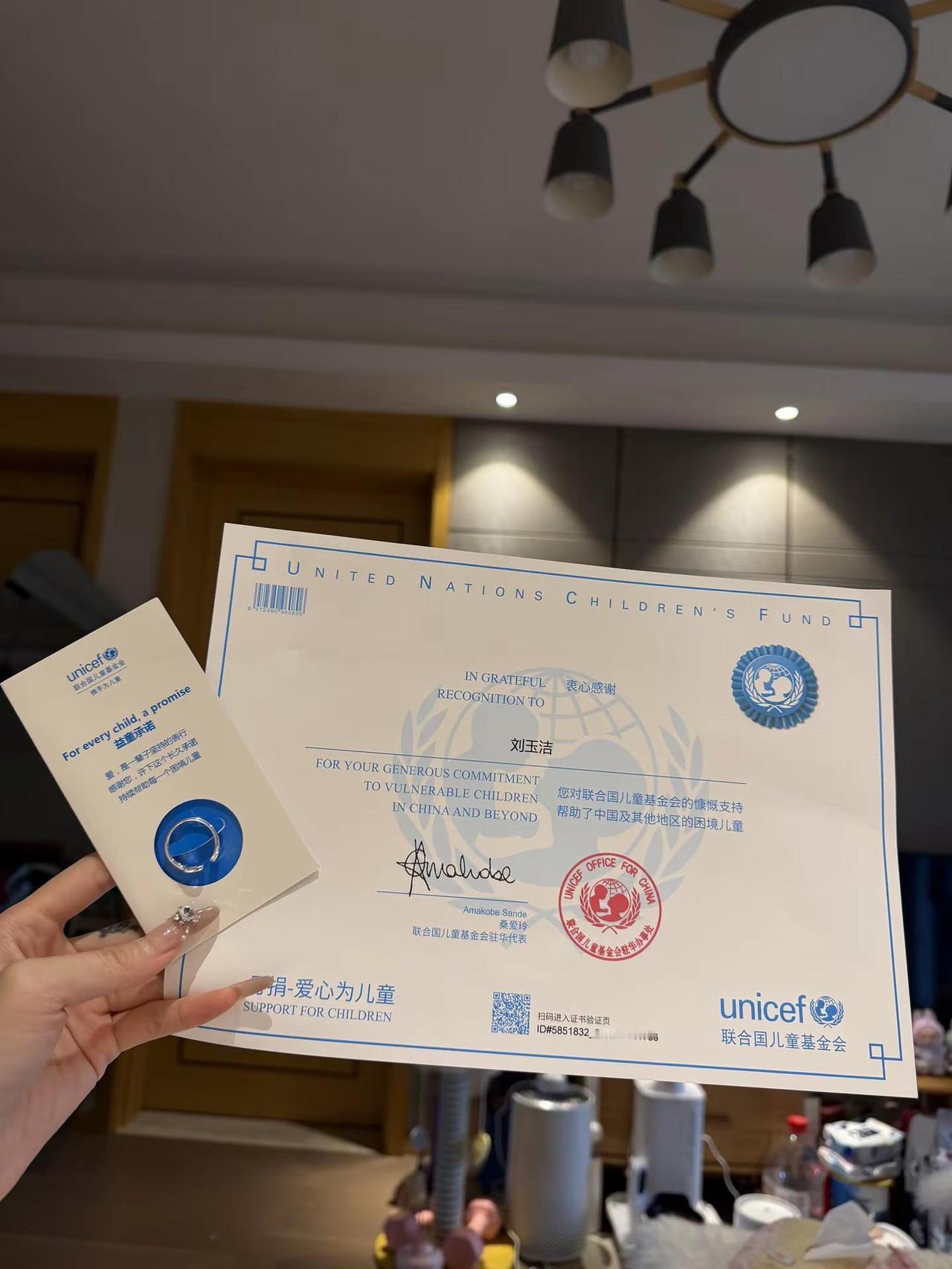 一个普通的下午收到联合国🇺🇳来信。尽我所能 去爱这个世界🌏