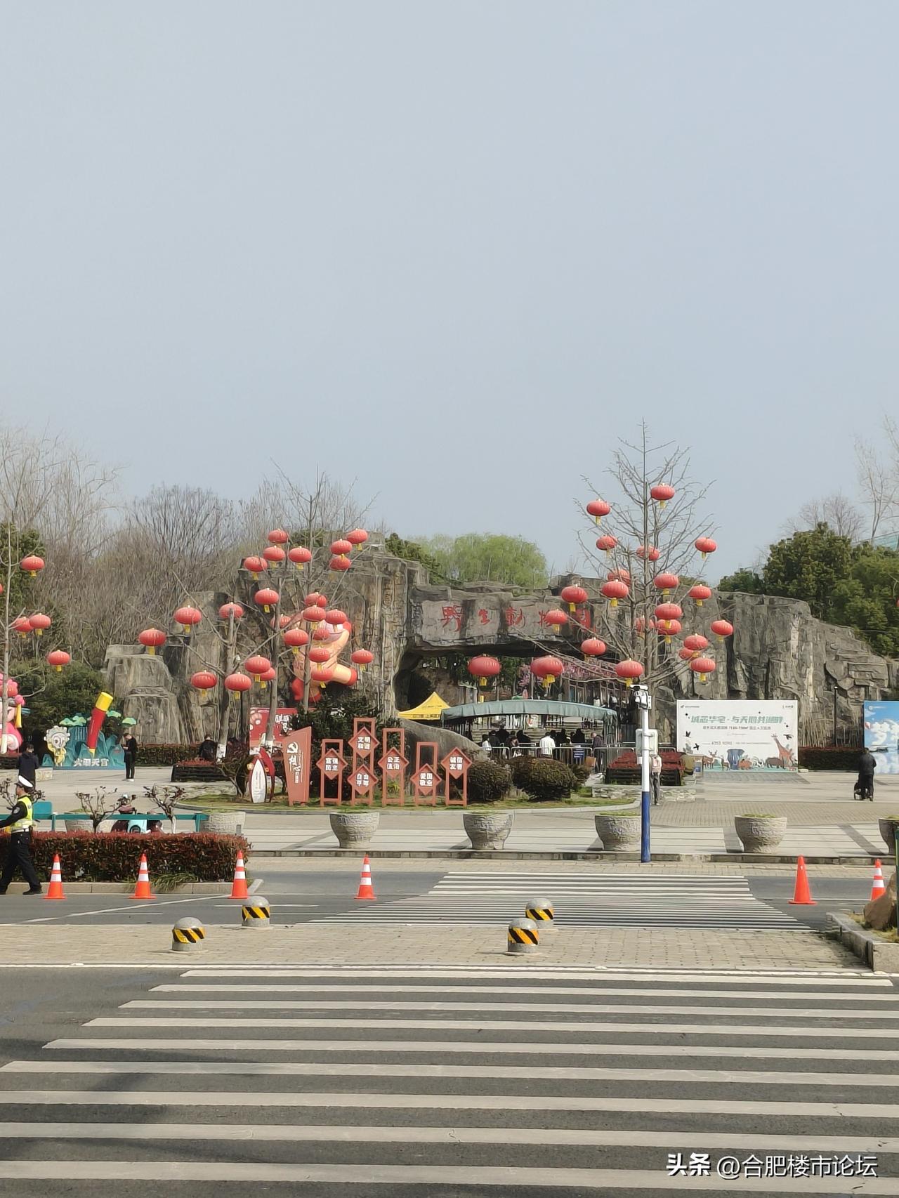 合肥野生动物园在春天这个时候游客是真不少。主要是地理位置也好，在大蜀山底下。