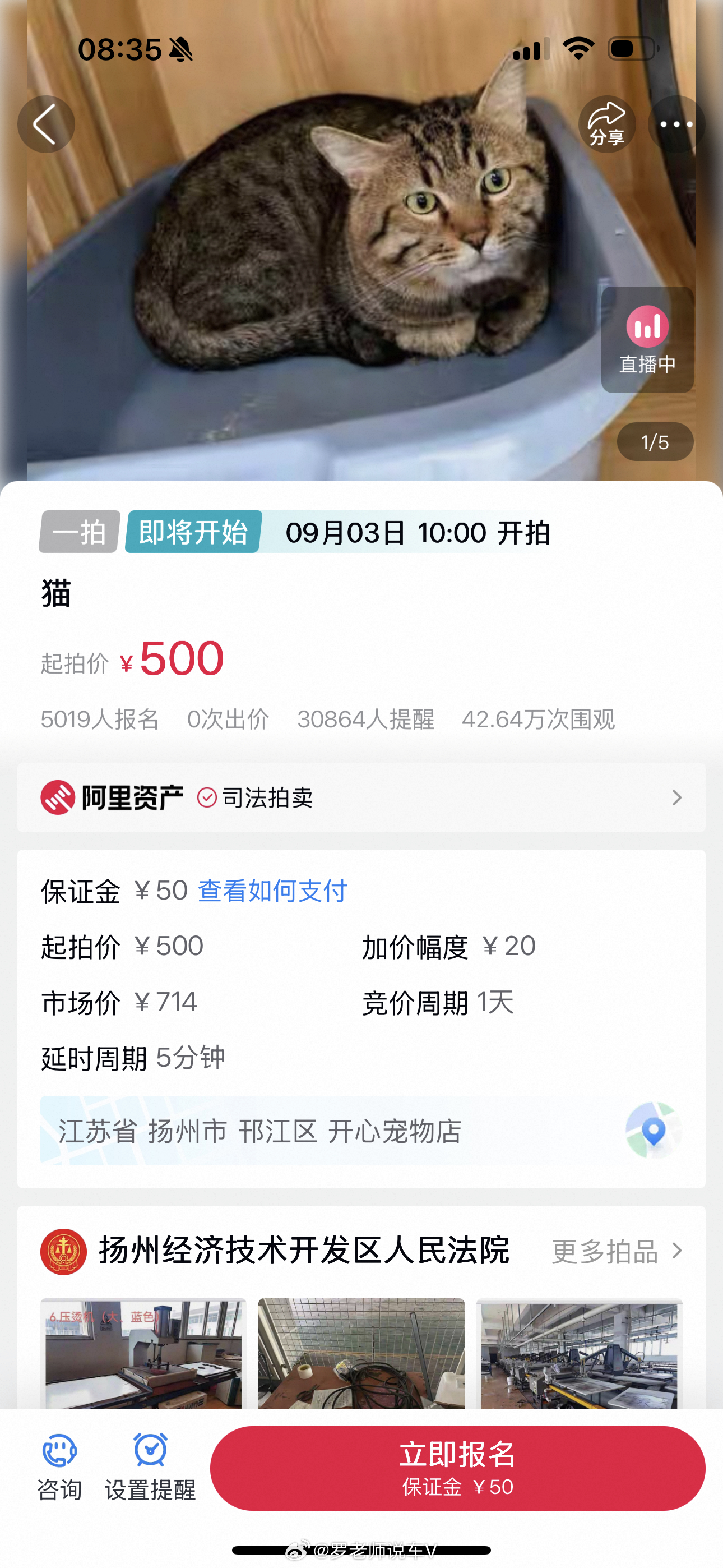 哈哈，笑不活了，这可能是全网第一只被法拍的小猫，这呆萌的眼神，太可爱了我的日常p