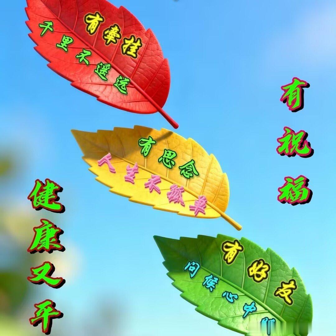 悠然梅心语 生活是一场温柔的坚持，清晨是一次温柔的重启。愿你带着勇气与热爱，奔赴