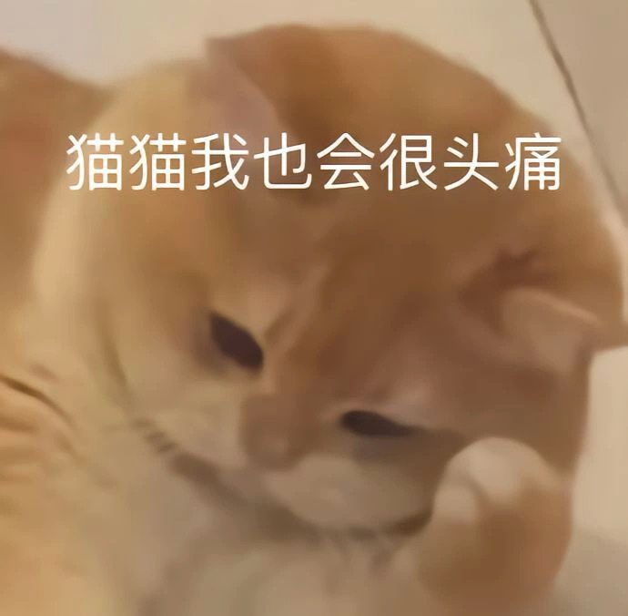 猫猫我也会很头疼。+一些猫猫头表情包，拿图喵喵😺 ​​​