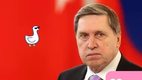 其实俄罗斯早就画好了自己的停战底线。

第一条，乌克兰必须保证不加入北约。这事没