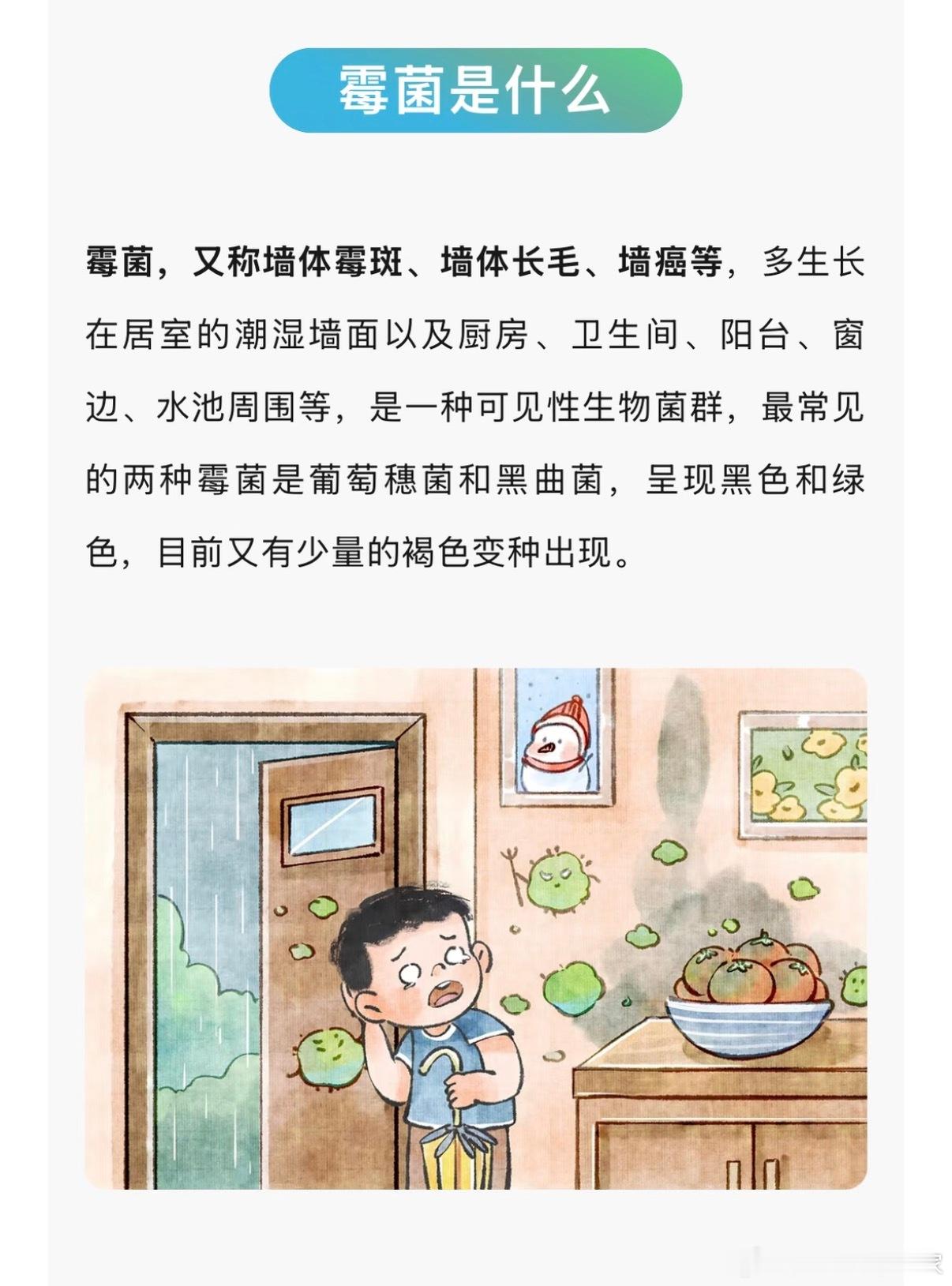 这几个月是租房季，大家租房千万别租有霉菌的房间，这玩意真要命，霉菌的孢子是会流动