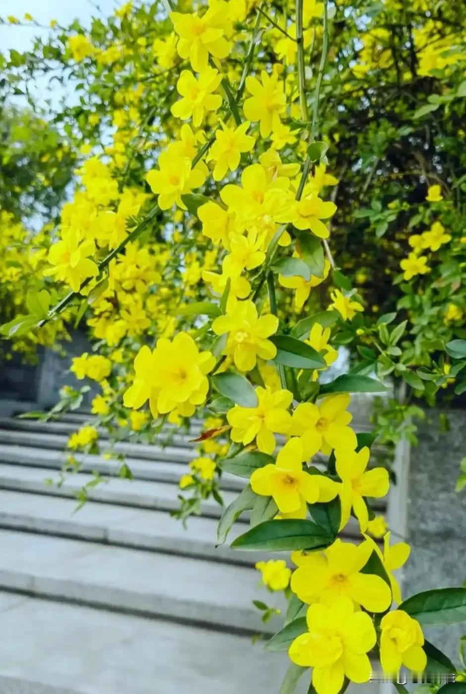 新年伊始  
春回大地 
万象更新
幸福吉祥
[烟花][福][比心]