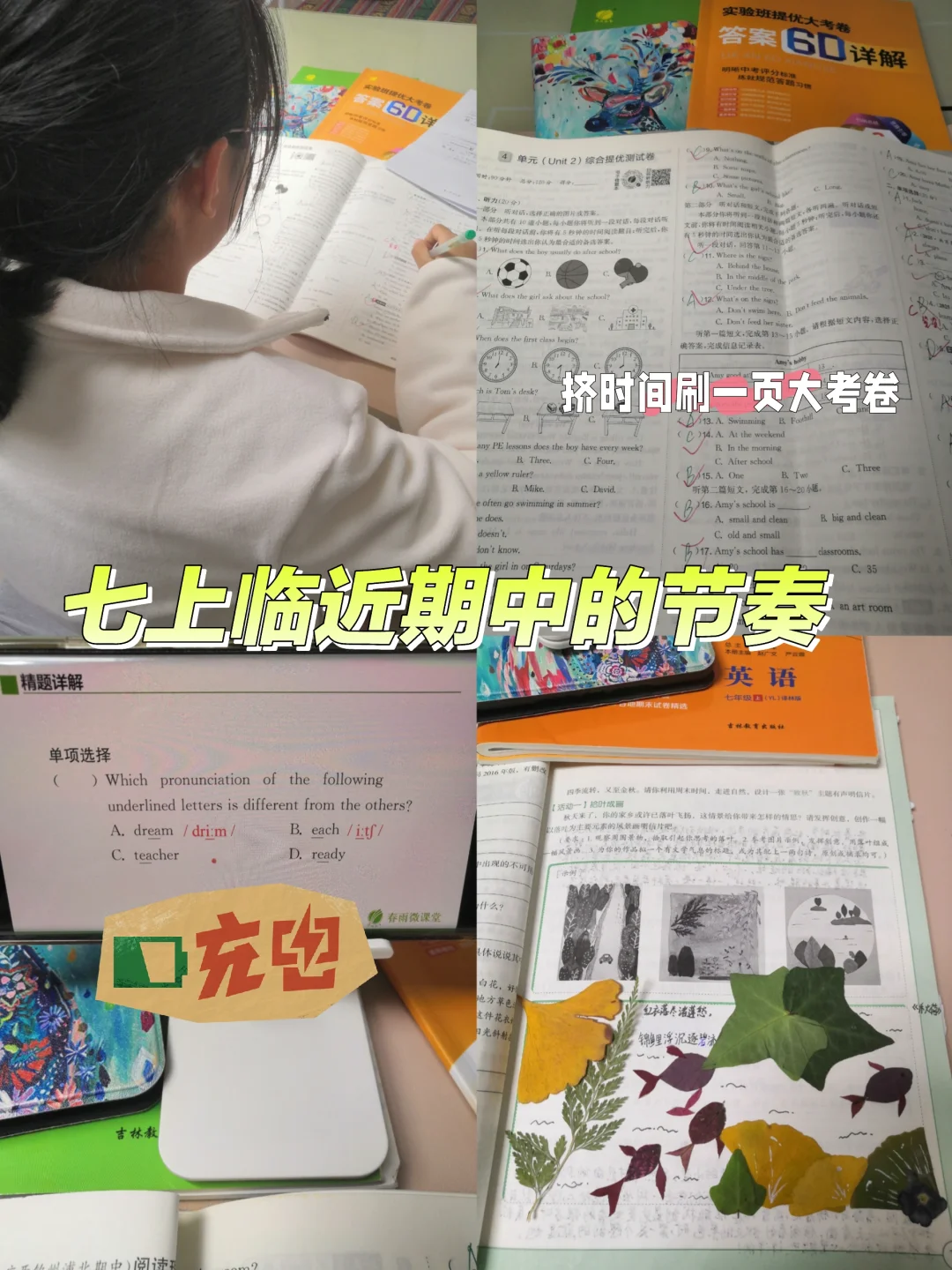 七上，小孩姐晚间日常安排