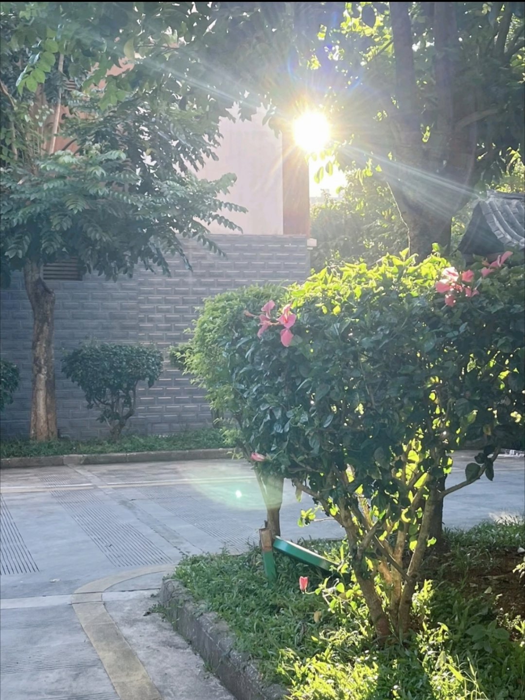 周五早安，窗外阳光明媚，澄澈日光漫过窗前，治愈所有连日的忙碌。这周进度即将收尾，
