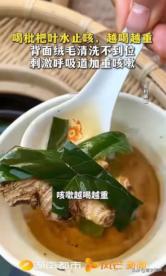 “悲剧还是发生了！”5月31日报道，一男子因为反复干咳，在路边采摘了新鲜枇杷叶，