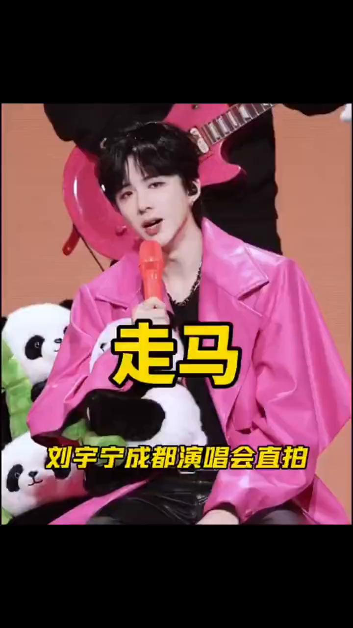 刘宇宁成都演唱会直拍。
走马。
刘宇宁成都演唱会直拍。