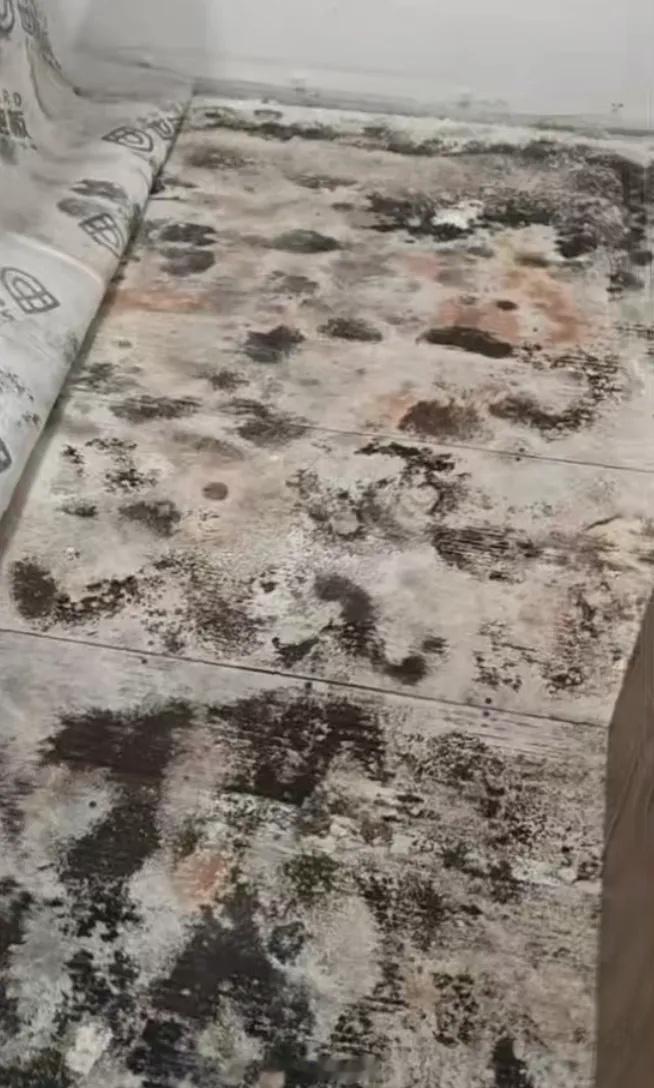 百万精装房变霉菌房3岁孩子查出肺炎 百万“精装”房居然是霉菌房 ！这边还要还房贷