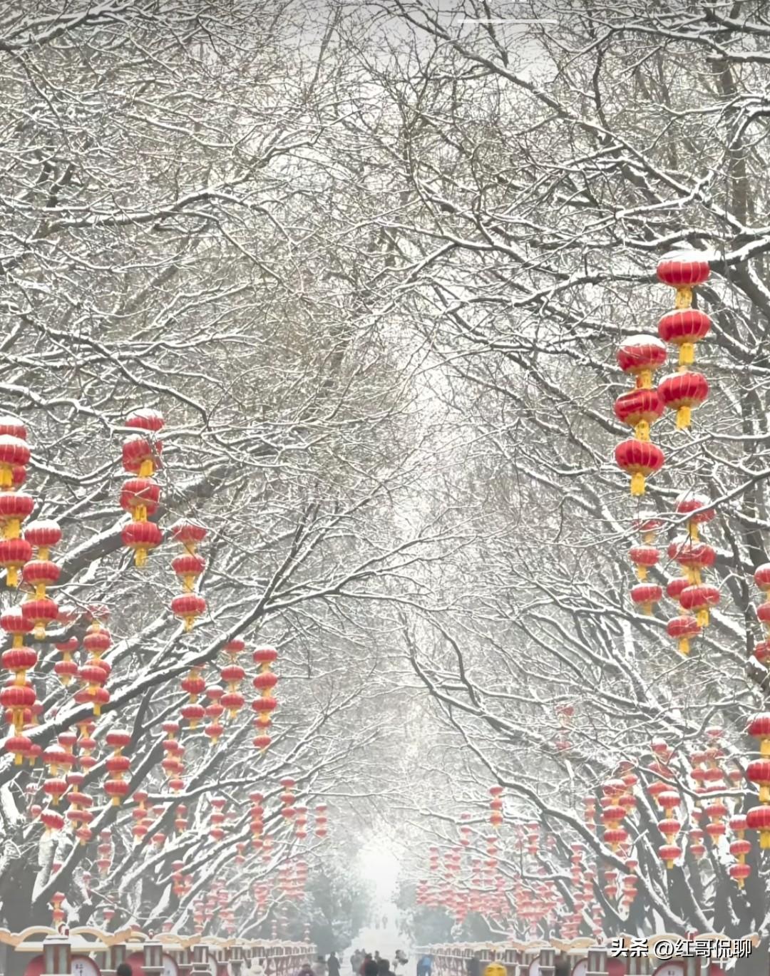 最近油价因大家都知道的中东战事原因波动很大，了解一下世界石油市场定价机制，熟悉一