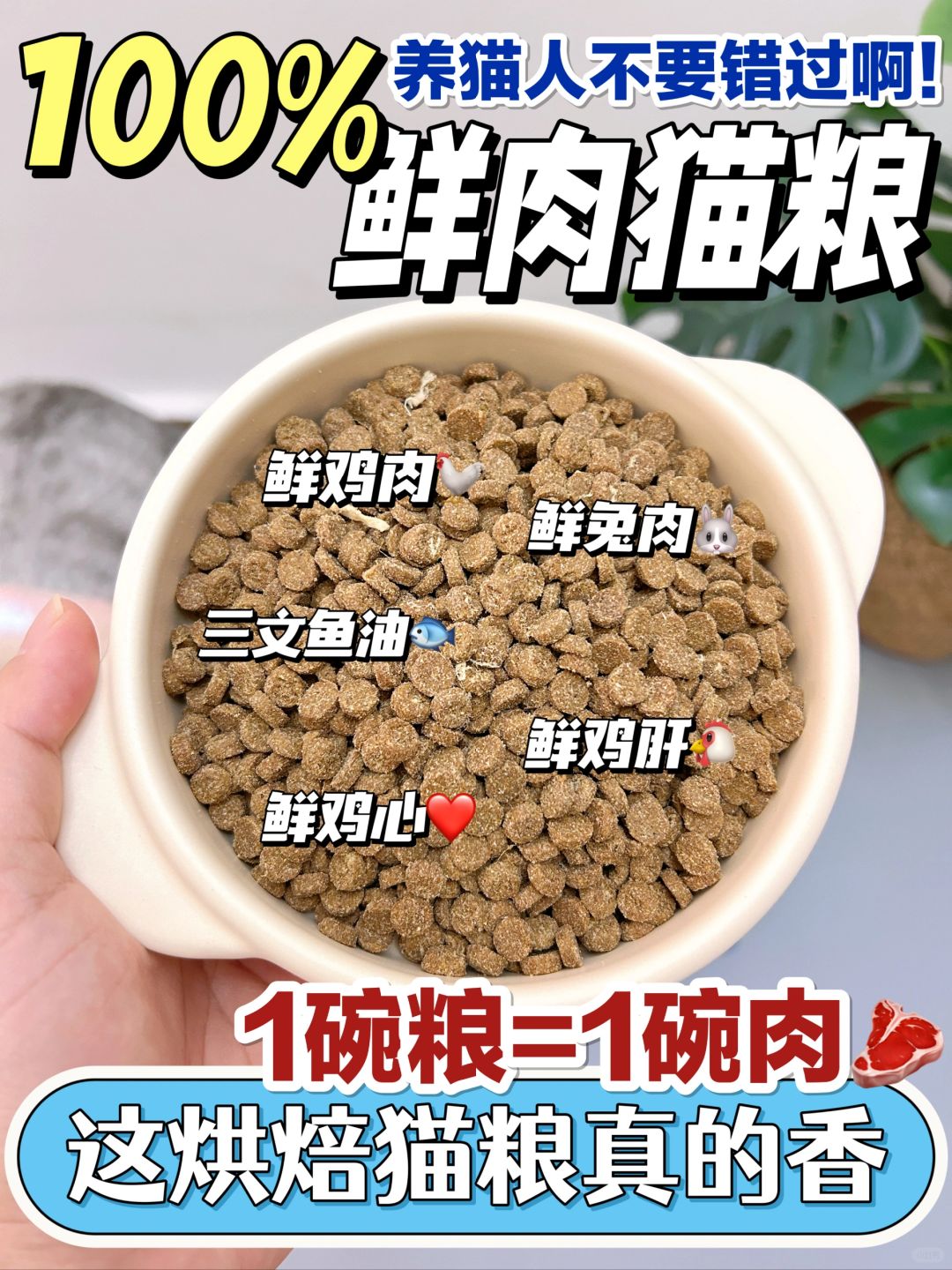 猫咪吃上纯鲜肉猫粮，幸福感瞬间提升❗❗