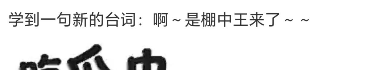 棚中王来了，哈 