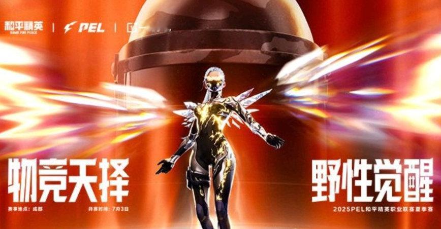 其实现在pel的强弱比两三年前分明太多了，格局变了pel成立之初，xqf一家独大