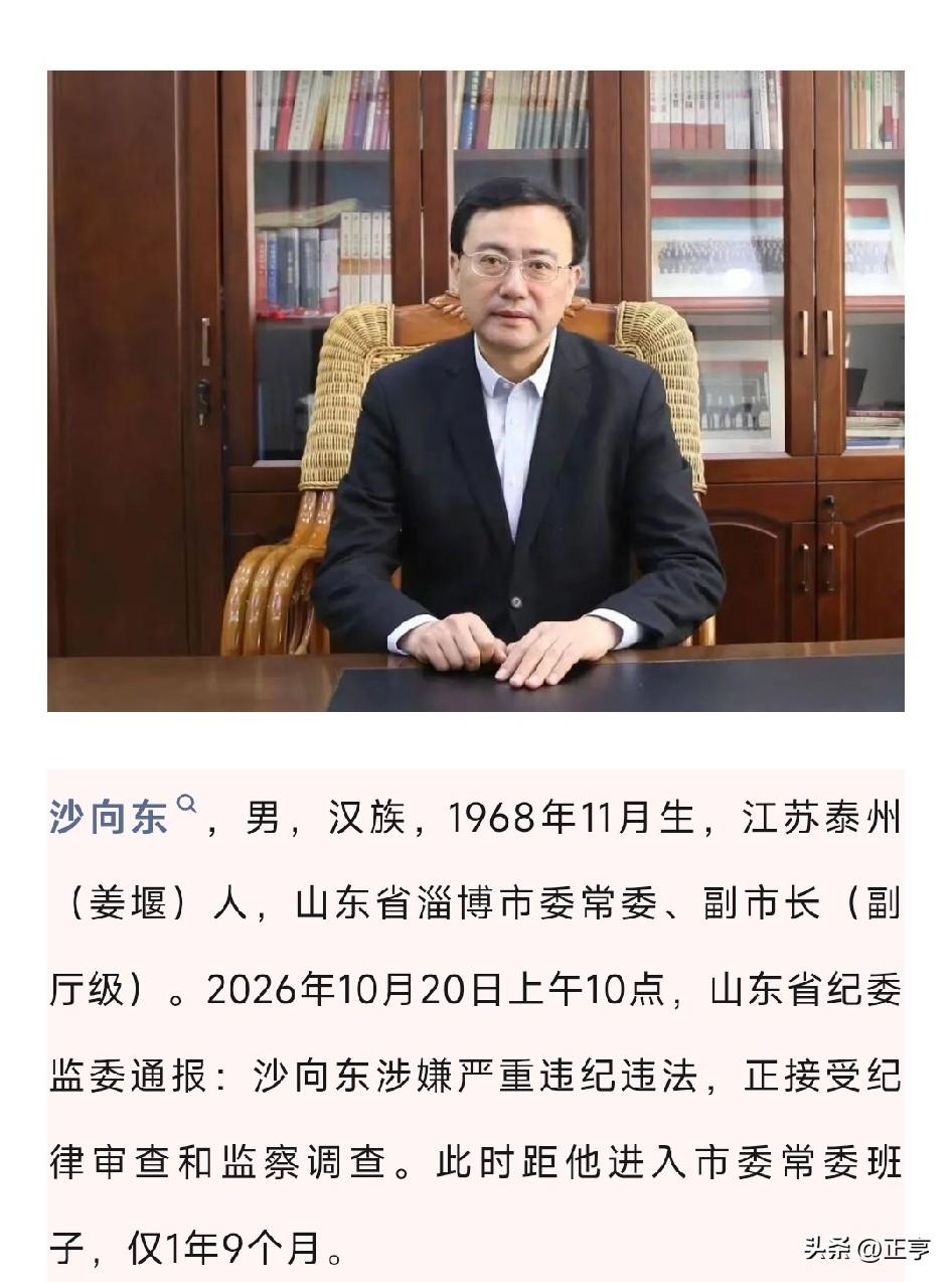 2026年10月20日，山东省纪委监委通报：淄博市委常委、副市长沙向东涉嫌严重违