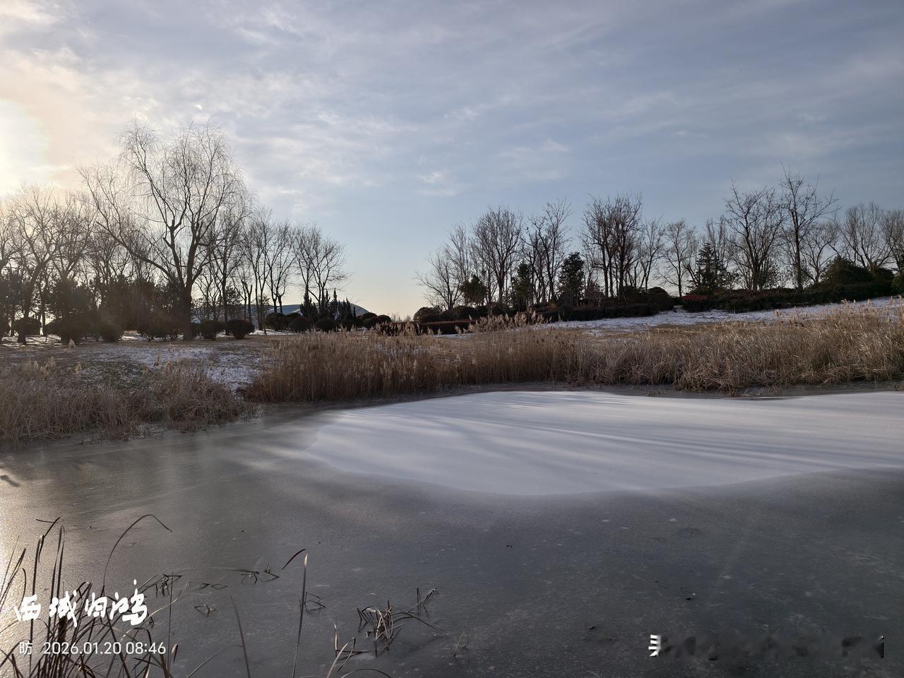 雪后的东营，天空湛蓝，空气清新，但气温降到零下10度左右，看着阳光明媚，实则冷的
