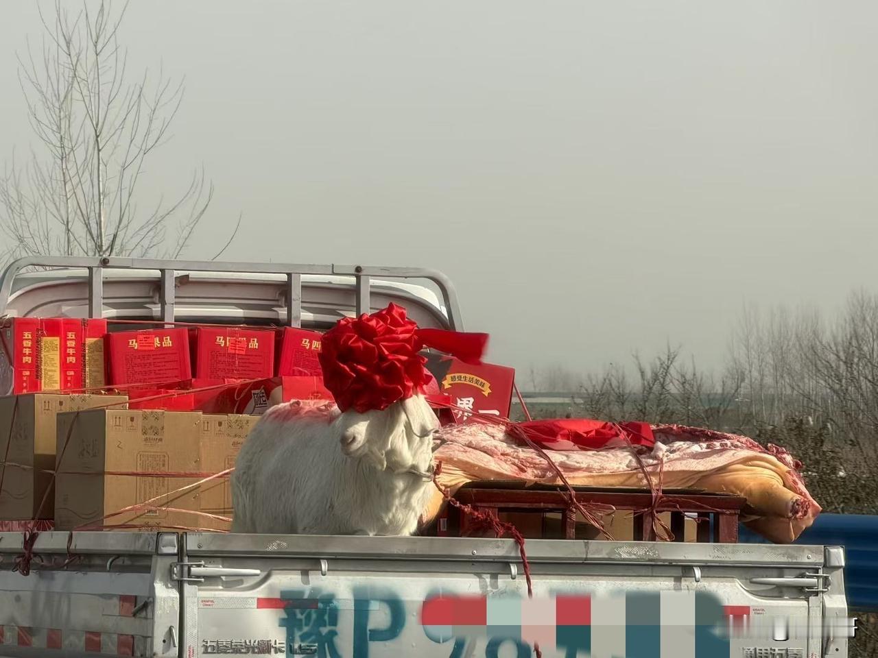 在大广高速上看到的一幕，突然想起了一句话，感觉很应景，我稍微改编一下：猪啊羊啊送