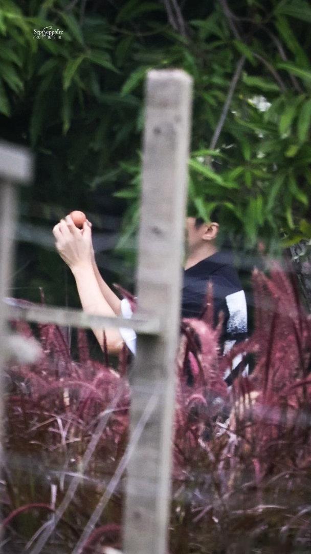 焕蓝梦想基金  古人说“人之初，性本善”，就是对人的感悟和研究的结晶，必有其可取