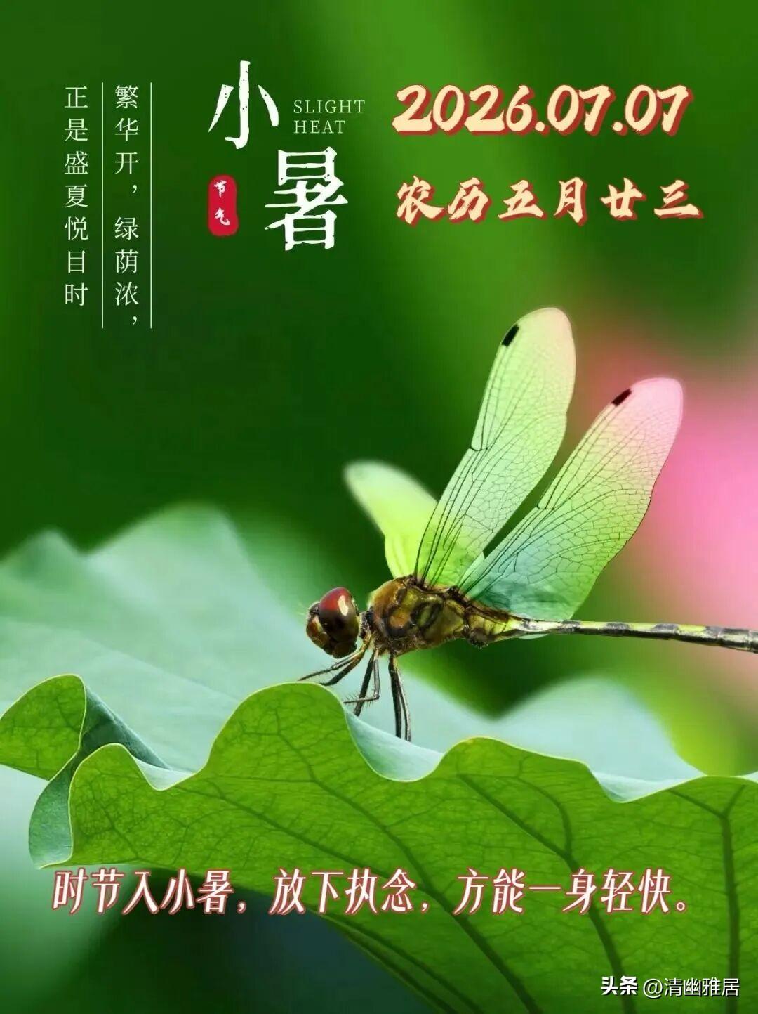世界杯中哪个球队的表现最让你惊喜当然要数佛得角队，原来没有关注这个队，以为只是打