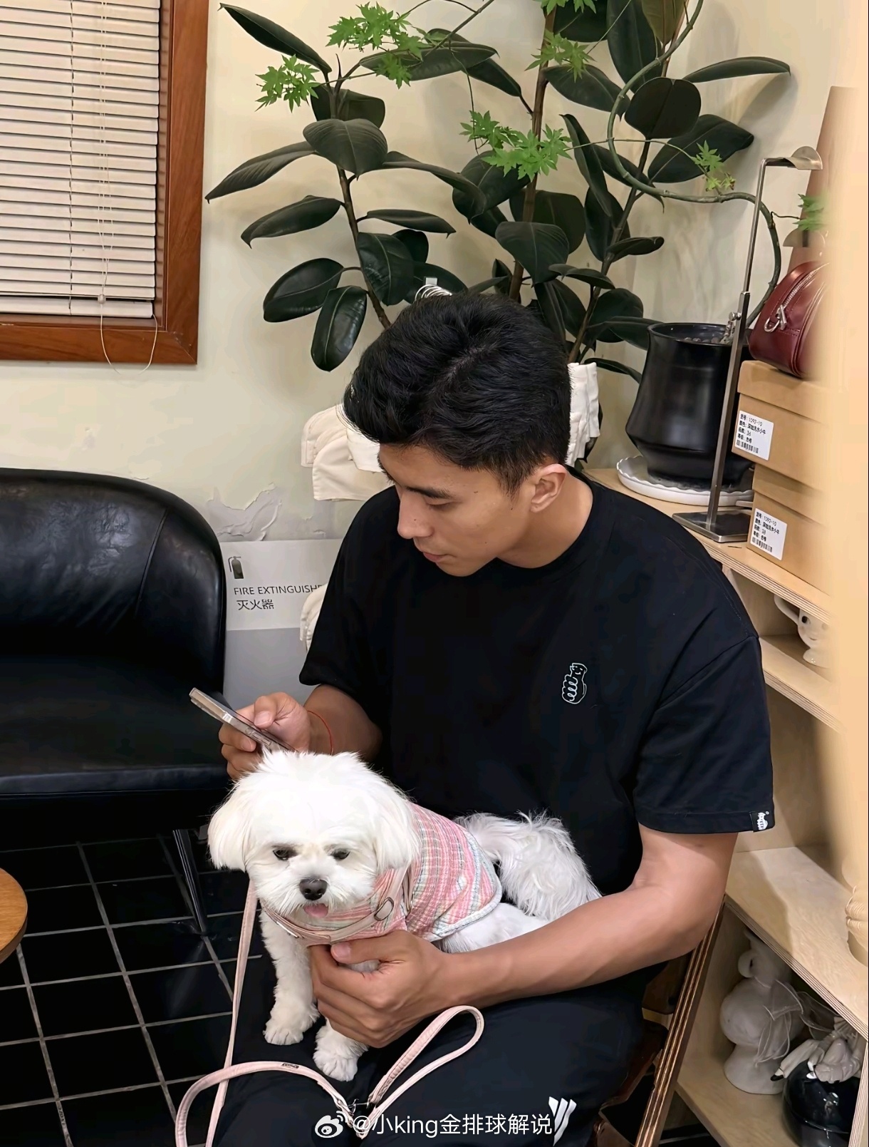 小太阳的最新日常，这是他的爱犬么？中国男排[超话] ​​​