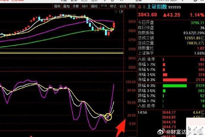 看 这张图，大盘30分钟级别，里面黄白线，再搭配上一条信息，看！！！ ​​​股票