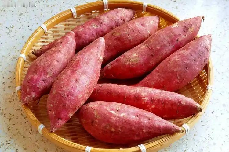 高尿酸一口红薯不能尝？医生告诫：不想终生躺病床，这5物要少吃

有位中年人，平时