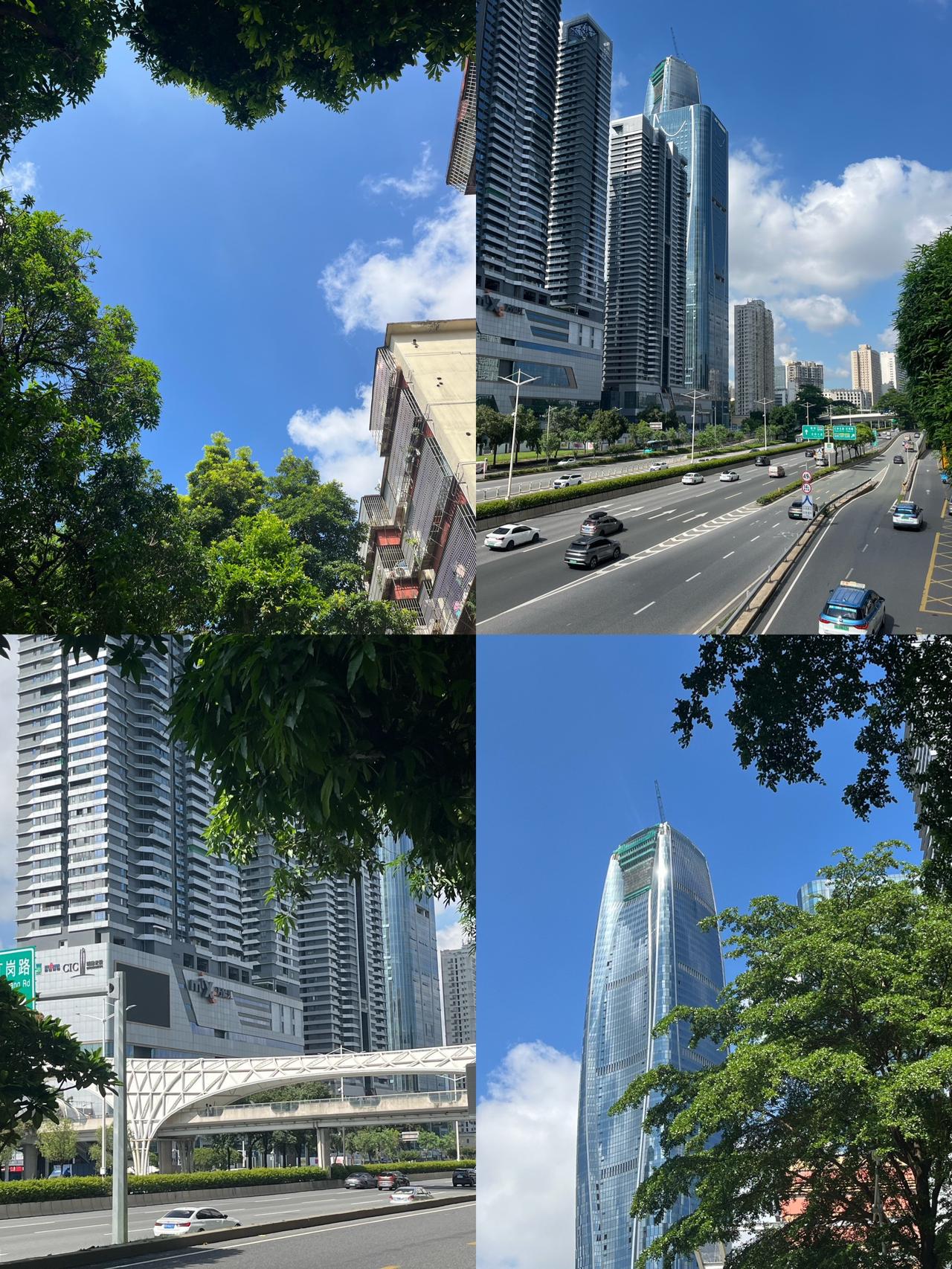 没有台风🌀深圳蓝又回来了～早上走在深圳街头
又被深圳蓝给治愈了
连绵的下雨天终