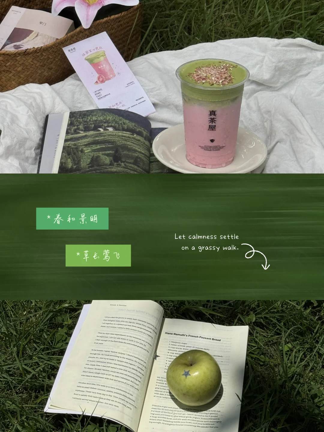 “拥抱夏日的抹🍵” 真茶屋来广州啦！！
