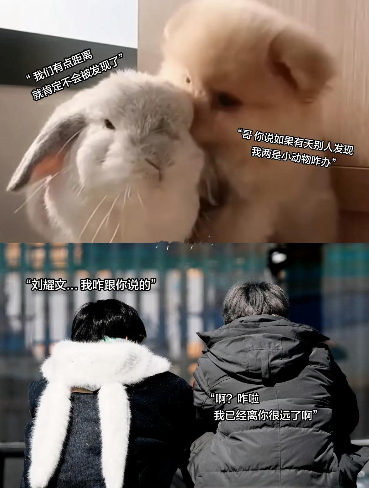 小兔兔耳朵暴露了