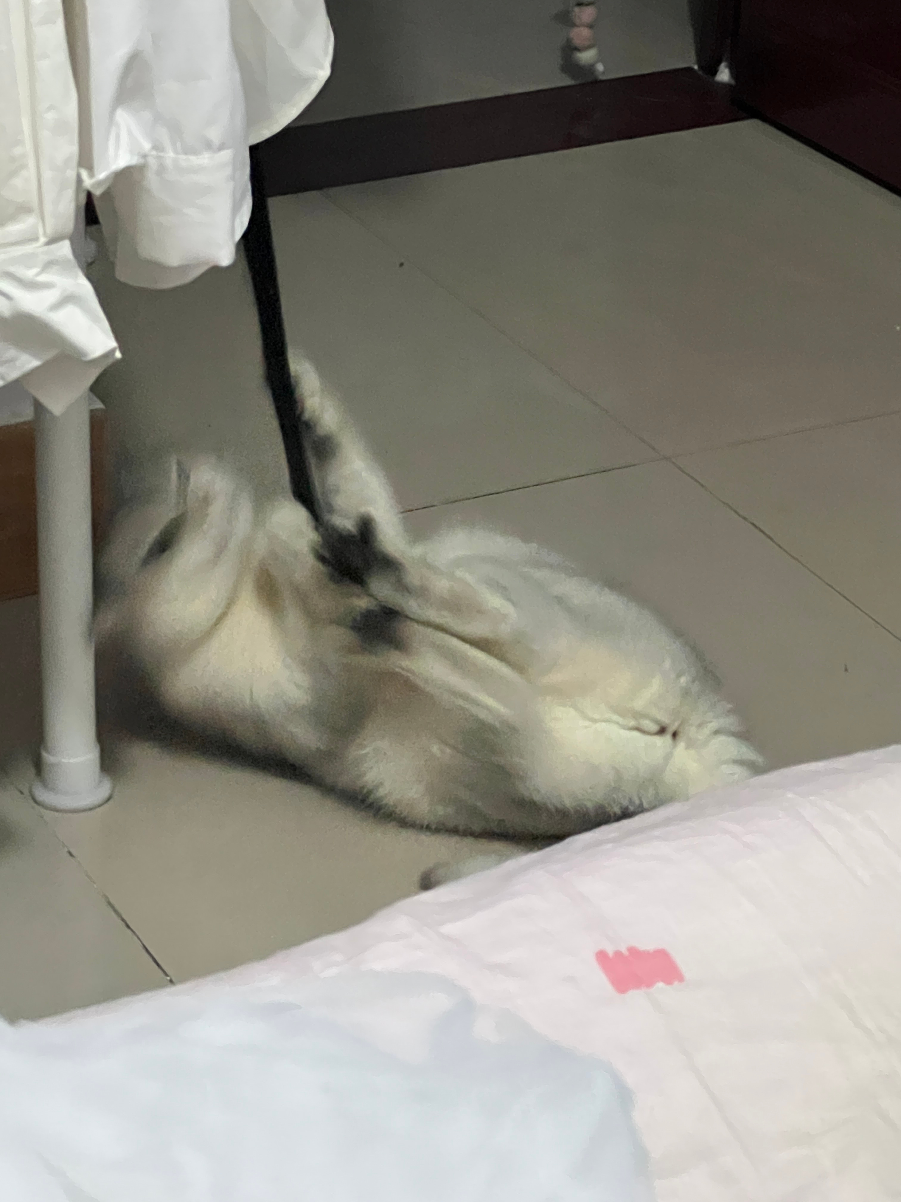 大家都去萤火虫！我也有去！！到时候来找我玩！！ ​​​